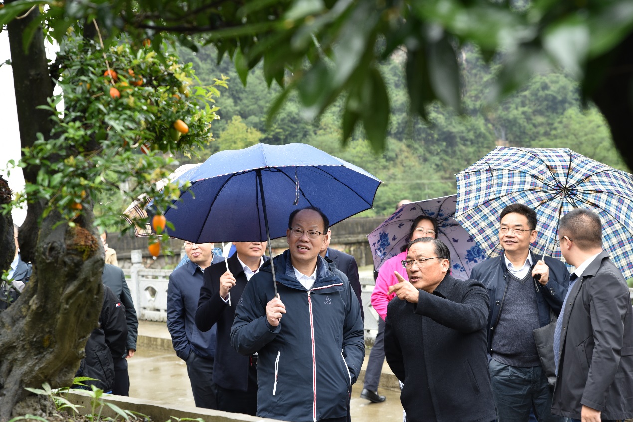 乡村振兴党委书记何伟军到长阳高家堰镇佑溪村调研乡村振兴工作